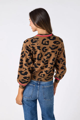 LEOPARD_4358_713x.webp