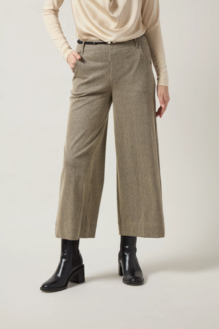 resized-image_12.webp